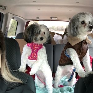 Meet your Posher, Amber